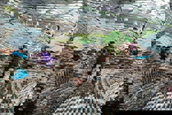 National Unity Day Celebration -2022